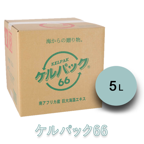 【送料別】ケルパック66 ５L