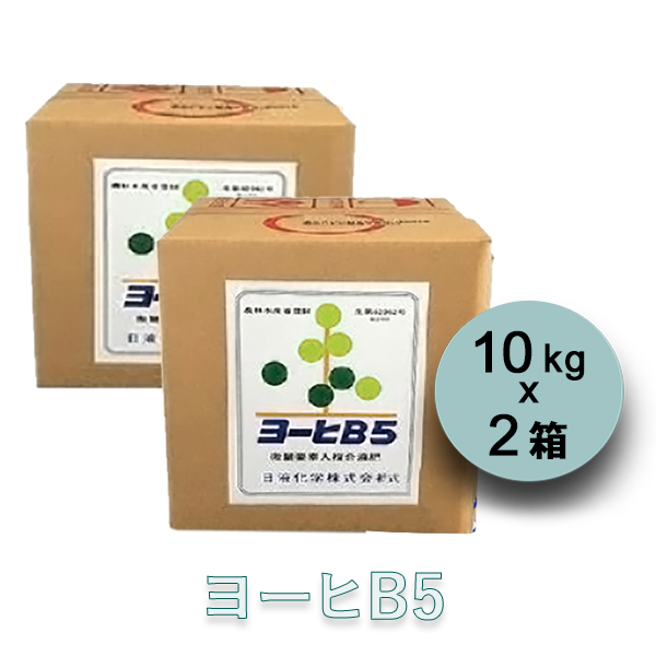 【送料込】ヨーヒB5 10kg×2箱